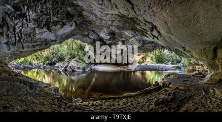 Moria Gate Arch, calcaire naturel tunnel, sur la rivière Oparara arch rock, bassin Oparara, Kahurangi National Park, Karamea, région de la côte ouest, au Sud Banque D'Images