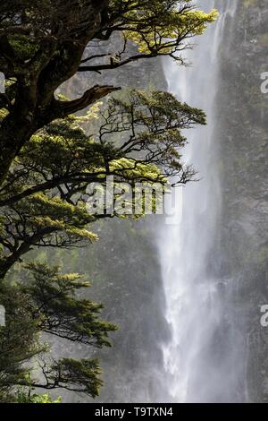 Devil's Punchbowl Waterfall, Arthur's Pass National Park, région de Canterburry, île du Sud, Nouvelle-Zélande Banque D'Images