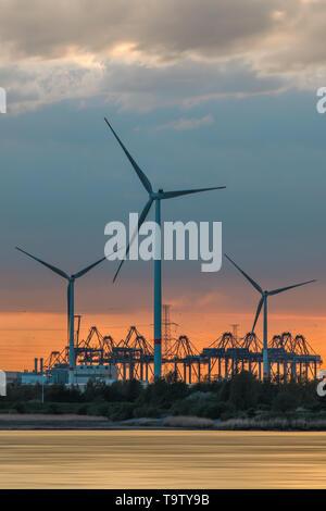 Rivière avec de grands moulins à vent et des silhouettes d'un terminal à conteneurs cranes lors d'un coucher de soleil de couleur orange, Port d'Anvers, Belgique. Banque D'Images