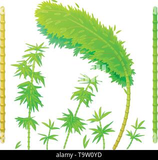 Vector cartoon plantes nature bambou vert clip art. Illustration de Vecteur