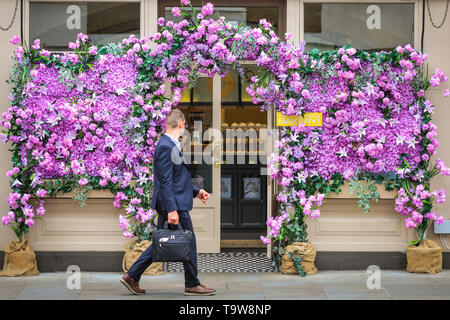 Londres, Royaume-Uni. 20 mai, 2019.Belgravia, Londres, Royaume-Uni, 20 mai 2019. Dominique Ansel bakery dispose de quelques jolis violet s'affiche sur la façade de son magasin. Le Belgravia quatrième festival floral coïncide avec la RHS Chelsea Flower Show dans les pays voisins de Chelsea. Cette année, le thème de "le langage des fleurs" invite le visiteur à découvrir les significations secrètes derrière les fleurs. Credit : Imageplotter/Alamy Live News Banque D'Images