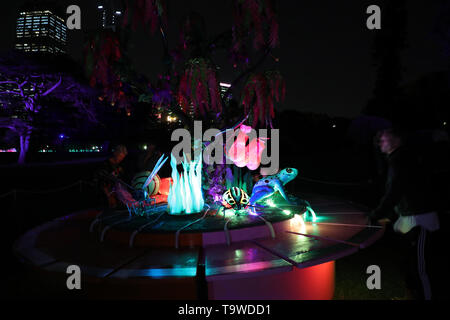 Sydney, Australie. 20 mai 2019. Du 24 mai au 15 juin le terrain du Jardin botanique royal de Sydney sera illuminée par des œuvres qui reflètent à la fois la lumière et la nature lorsque Vivid Sydney revient pour 2019. Qui entre par les portes de la reine Elizabeth II, les visiteurs peuvent explorer 15 hypnotique, ludique et instructif. Sur la photo : Jungle Boogie - Danse à des rythmes de son et lumière avec une clé 18 instrument de musique interactive qui active une scène forêt psychédélique, rempli d'animaux, oiseaux, arbres et des lanternes. Crédit : Richard Milnes/Alamy Live News Banque D'Images