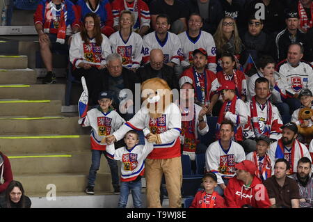 Bratislava, Slovaquie. 21 mai, 2019. République tchèque sont des fans vu pendant le match entre la République tchèque et la Suisse au sein de l'IIHF 2019 Championnat du monde à Bratislava, Slovaquie, le 21 mai 2019. Photo : CTK Vit Simanek/Photo/Alamy Live News Banque D'Images