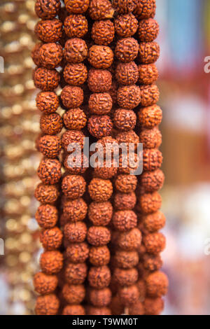 Rudraksha indiennes pour les bijoux fabriqués à partir de graines d'arbre sacré. Pour le yoga, la méditation publique Banque D'Images