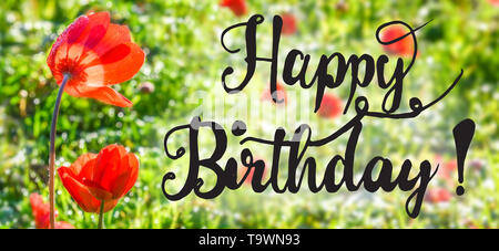 Joyeux Anniversaire Calligraphie Anglaise Rouge Coquelicot Prairie Carte De Vœux De La Saison Du Printemps Ensoleille Photo Stock Alamy