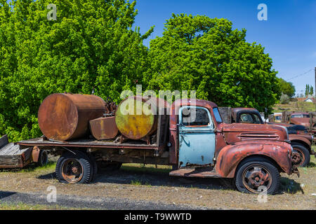 Camionnette dans Dave's vieux camion de collecte de sauvetage dans Sprague, l'État de Washington, USA [pas de biens : disponible uniquement pour les licences d'édition] Banque D'Images