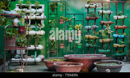 La plantation de légumes et fleurs dans des pots en plastique. Il a été pendu à la verticale comme un jardin vertical. Économiser de l'espace et adapté pour jardin urbain. Banque D'Images