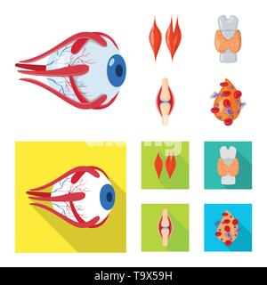 Muscle dorsal,oeil,os,sang,oeil,,organes,moelle,plasma,tendon cornée,tissu,os,ligament,cell,dommage,couches,structure,capot,system,meubles,don,vue,la douleur,la maladie,moelle,Protection,l'appareil locomoteur corps,mixte,biologie,scientifique,recherche,,laboratoire anatomie,organe interne,,médical,des,santé,,set,icône,,illustration,collection,isolé,design,graphisme,élément vecteur vecteurs,signer , Illustration de Vecteur