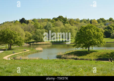 Lac à Hampstead Heath, un jour ensoleillé à la fin du printemps. Londres, Angleterre, Royaume-Uni. Banque D'Images