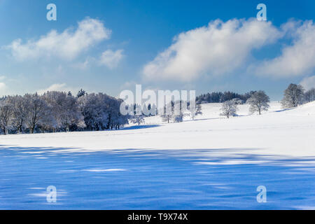 Beau paysage d'hiver après les chutes de neige fraîche sur le Ilkahöhe, Tutzing, Bavière, Allemagne, Europe, Schöne Winterlandschaft nach Neuschnee auf der Ilkahöhe, Banque D'Images