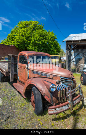 Les camionnettes représentent Dave's vieux camion de collecte de sauvetage dans Sprague, l'État de Washington, USA [pas de biens : disponible uniquement pour les licences d'édition] Banque D'Images