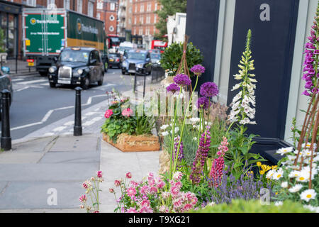 Affichage Floral en dehors de Linley shop à Pimlico Road pour Chelsea en fleurs 2019. Belgravia, Londres, Angleterre Banque D'Images