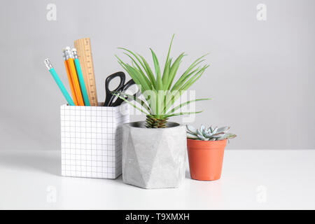 Différentes plantes vertes en pots avec modèle de tableau blanc Banque D'Images