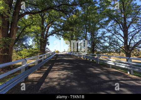 Vue sur le pont Munsie, construit en 1938, le long de la French ormes bordant la route venant de la chapelle, près de Uralla Gostwyck, NSW, Australi Banque D'Images