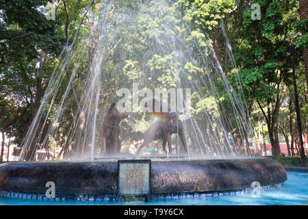 Coyoacan, Mexico City, Mexico-20 Avril, 2019 : les coyotes potable statue et fontaine dans Hidalgo Square à Coyoacan Banque D'Images