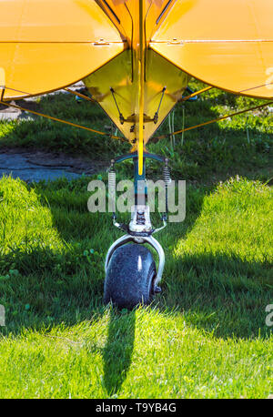 Roue arrière et les stabilisateurs, vue arrière, de l'hélice du moteur unique avion sur pelouse ensoleillée. Banque D'Images