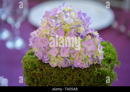 Arrangement de fleurs, d'une salle à manger dotée d''un centre de table de cluster hortensias mauve reposant sur une épaisse mousse verte mont, pour un mariage ou une partie Banque D'Images