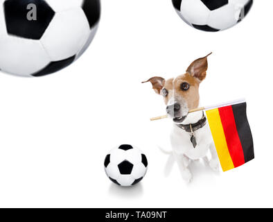 Football soccer Jack Russell Terrier chien jouant avec boule en cuir , isolé sur fond blanc et drapeau allemand Banque D'Images