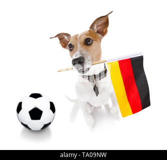 Football soccer Jack Russell Terrier chien jouant avec boule en cuir , isolé sur fond blanc et drapeau allemand Banque D'Images