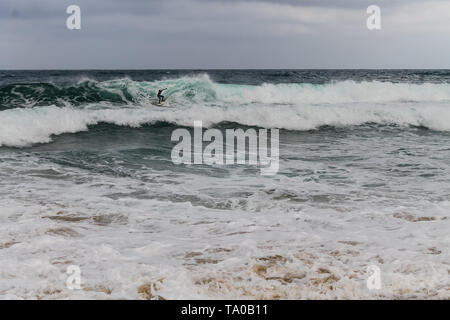 Youn hommes rugueux surf vagues de mousson à Juara Beach sur l'île de Tioman, Malaisie Banque D'Images