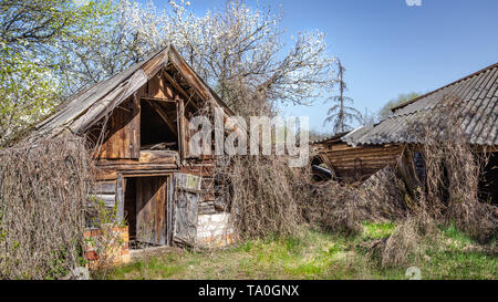 Petite maison abandonnée au Bélarus zone d'exclusion de Tchernobyl, a récemment ouvert pour le public d'avril 2019. Banque D'Images