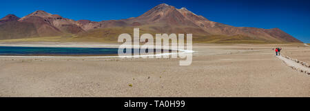 Dans la lagune Miscanti highlands Atacama panorama immense Banque D'Images