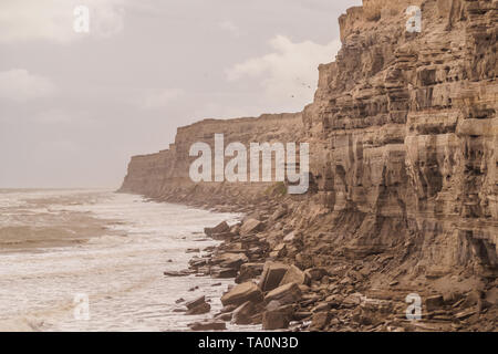 Dans les falaises, la Loberia Argenina. Jour nuageux avec des vagues. Plus grand canyon perroquets colonie au monde Banque D'Images