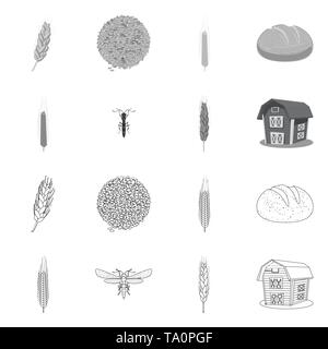 Printemps, pain, voler,grenier,spike,graines,hiver,bâtiment,insectes,Culture,dur,industrie,lutte,farine,l'alimentation, contrôle, des semences de céréales,automne,petit déjeuner,stop,oreille,orge,chignon,ailes,son,maïs,sain,agriculture,insecticide,agriculture,seigle,plantes,blé,maïs,grain,récolte,ferme,,champ,set,icône,,illustration,collection,isolé,design,graphisme,élément vecteur vecteurs,signer , Illustration de Vecteur