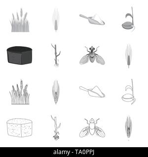 L'orge de printemps,farine,graines,pain,etuve,voler,repas,spike croître,root,hiver,insectes,ecope,brun,terrain,lutte,sol,l'alimentation, contrôle, un champ d'avoine,sain,stop,Culture,dur,céréales,agriculture,germination,agriculture,seigle,plantes,blé,maïs,grain,récolte,ferme,,champ,set,icône,,illustration,collection,isolé,design,graphisme,élément vecteur vecteurs,signer , Illustration de Vecteur