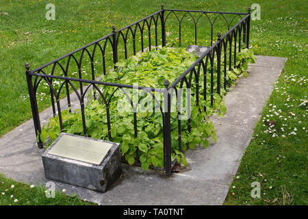 Jean Calvin est supposé grave (probablement un faux tombe) - Cimetière des Rois (Cimetière de la Kings) - Plainpalais - Genève Banque D'Images