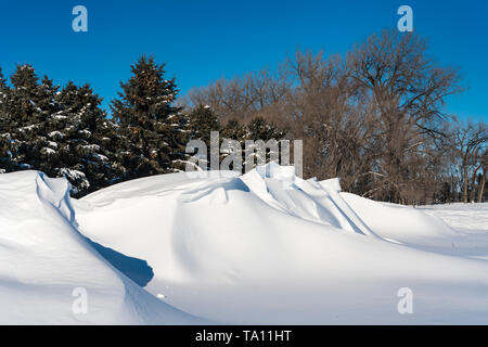 Les amoncellements de neige d'hiver dans les prairies près de Plum Coulee, Manitoba, Canada. Banque D'Images