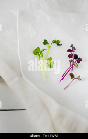 Les choux verts micro biologique mixte sur une serviette en lin blanc Vue de dessus.Les jeunes,cresson frais et pousses de tournesol kale rouge Banque D'Images