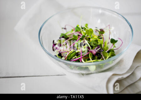 Les choux verts micro biologique mixte à garnir la plaque de verre blanc sur fond de bois close-up.Les jeunes,cresson frais et pousses de tournesol kale rouge Banque D'Images