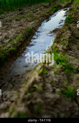 12.2005 chemin/terre à cause du manque de précipitations sur les terres agricoles au Royaume-Uni. L'agriculture britannique. Cotswolds, Royaume-Uni. Banque D'Images