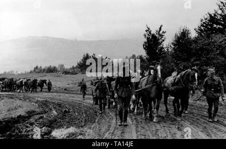 Les soldats allemands sur le chemin de l'avant dans les montagnes Beskides. Ils mars avec calèches de renforcer l'avant sur une route boueuse de la pluie dans le Nord de la Slovaquie. Photo de l'entreprise de propagande (PK) : correspondant de guerre Knaack. Banque D'Images