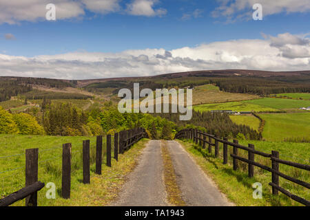 Des montagnes de Slieve Bloom entre Kinnity et Mountrath, County Offaly, Irlande Banque D'Images