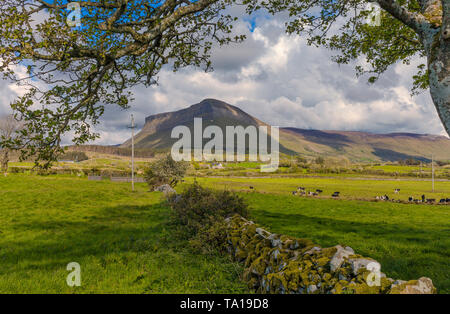 La face ouest de la montagne Benbulben, partie de la montagnes Dartry, Comté de Sligo, Irlande Banque D'Images