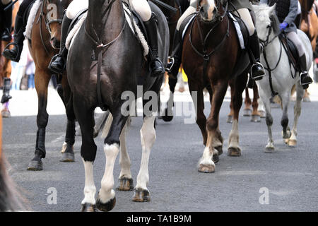 Hawick, Scottish Borders, au Royaume-Uni. 21 mai 2019. Circonscription commune Hawick 2019 Ñ Priesthaugh Rideout Légende : Le mardi 23 mai voit le quatrième tour préliminaire dans l'accumulation de la principale circonscription commune journée du vendredi 7 juin 2019. Cornet Gareth Connor Brunton conduit les partisans de quitter le Backdamgate monté à Hawick à 2h00 ( Crédit : Rob Gray/Alamy Live News Banque D'Images