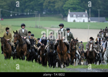 Hawick, Scottish Borders, au Royaume-Uni. 21 mai 2019. Circonscription commune Hawick 2019 Ñ Priesthaugh Rideout Légende : Cornet Connor Brunton (centre) conduit près de 100 partisans monté sur le trajet pour Priesthaugh. St Leonards peut être vu dans la distance. Le mardi 23 mai voit le quatrième tour préliminaire dans l'accumulation de la principale circonscription commune journée du vendredi 7 juin 2019. Cornet Connor Brunton conduit les partisans de quitter le Backdamgate monté à Hawick à 2h00 ( Crédit : Rob Gray/Alamy Live News Banque D'Images