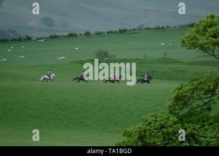 Hawick, Scottish Borders, au Royaume-Uni. 21 mai 2019. Circonscription commune Hawick 2019 Ñ Priesthaugh Rideout Légende : Cornet Connor Brunton conduit près de 100 partisans monté sur le trajet pour Priesthaugh. Un 18 km au-dessus de collines, galop aujourd'hui mardi 23 mai voit le quatrième tour préliminaire dans l'accumulation de la principale circonscription commune journée du vendredi 7 juin 2019. Cornet Connor Brunton conduit les partisans de quitter le Backdamgate monté à Hawick à 2h00 ( Crédit : Rob Gray/Alamy Live News Banque D'Images