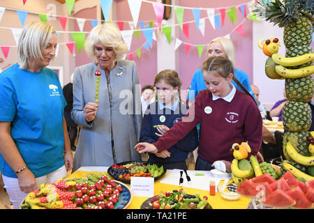 La duchesse de Cornouailles aide les enfants à la préparation des aliments au cours d'une manifestation communautaire intitulé Une célébration de la Communauté en Lisnaskea dans le comté de Fermanagh. Photo de l'association. Photo date : mardi 21 mai 2019. Voir PA story Tournée royale. Crédit photo doit se lire : Joe Giddens/PA Wire Banque D'Images