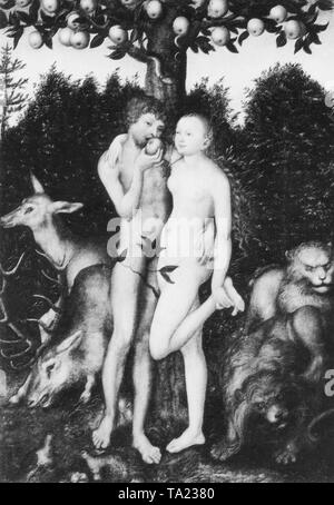 La chute d'Adam et Eve dans le paradis. D'après une peinture de Lucas Cranach à partir de l'année 1531. Banque D'Images