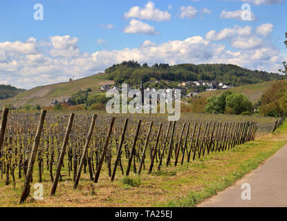 Vignobles de Riesling de vignes dans la vallée de la Moselle avec village sur une colline à l'arrière-plan Banque D'Images