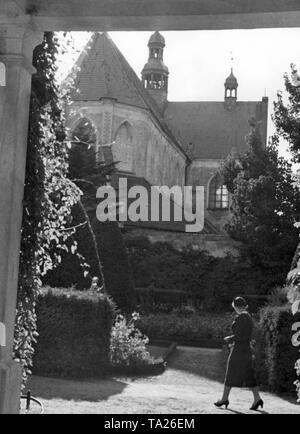 C'est une photographie de la cathédrale d'Oliwa de Gdansk. Elle est dédiée à la Sainte Trinité, Sainte Vierge Marie et de St Bernard. La basilique à trois nefs fut construite à la fin du 12ème siècle par les Cisterciens et appartenait à un monastère. En 1925, avec la création d'un diocèse par le Pape Paul VI, l'église fut élevé à la dignité d'une cathédrale. Banque D'Images