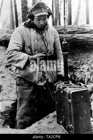 L'opérateur radio à un poste de commandement de l'entreprise l'écoute d'un message. En face de lui sa radio portative. Il porte l'uniforme de camouflage d'hiver matelassé. Photo de l'entreprise de propagande (PK) : correspondant de guerre Kuehn. Banque D'Images