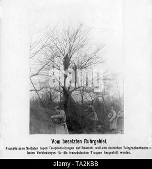 Depuis le télégraphe allemand ont refusé d'établir des connexions pour les soldats français au cours de l'occupation de la Ruhr, l'occupant n'avait à s'aider eux-mêmes, comme en l'espèce par des câbles télégraphiques portant sur les arbres. Banque D'Images