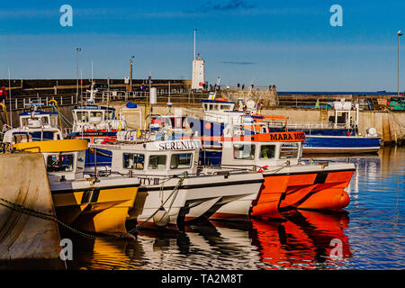 La plongée, la pêche et d' bateaux amarrés dans le port de Largs, Northumberland, Angleterre. Septembre 2018. Banque D'Images