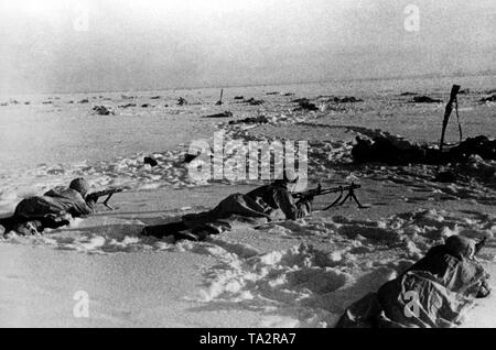 Les fantassins allemands se situent dans les champs de neige au sud du lac Ilmen avec des fusils prêts à faire feu et toiles de camouflage dans le secteur nord du front de l'Est. L'un des soldats est armé d'un MG 34, tandis que les autres possèdent un Gewehr 98 (Mauser). Dans le contexte plusieurs cadavres. Photo de l'entreprise de propagande (PK) : correspondant de guerre Cantzler. Banque D'Images