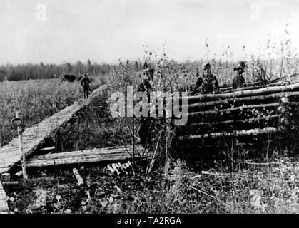 Soldats allemands dans une bataille gare construite de troncs de bouleaux et les buissons sur la rivière Volkhov. Les stations individuelles dans ce marécage sont connectés avec des pistes. Photo de l'entreprise de propagande (PK) : correspondant de guerre Maltry. Banque D'Images