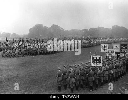 Au du Reichsfuehrer (commandant en chef) du Stahlhelm, l'flagbearers manifestent à Hanovre. Sur la droite au premier plan, la bannière de l'une des associations nationales de Brandebourg, Braunschweig, Styrie, Anhalt et de l'agglomération de Berlin. Banque D'Images